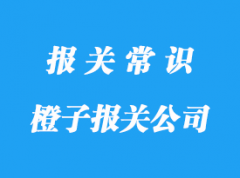 上海進(jìn)口橙子報關(guān)公司:南非等國家橙子清關(guān)注意事項(xiàng)